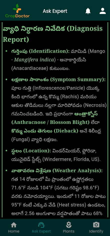 CropDoctor diagnosis report written in Telugu, with weather analysis